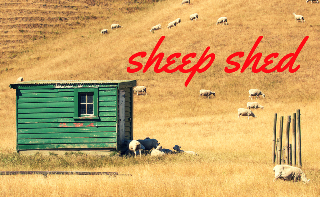 sheep shed